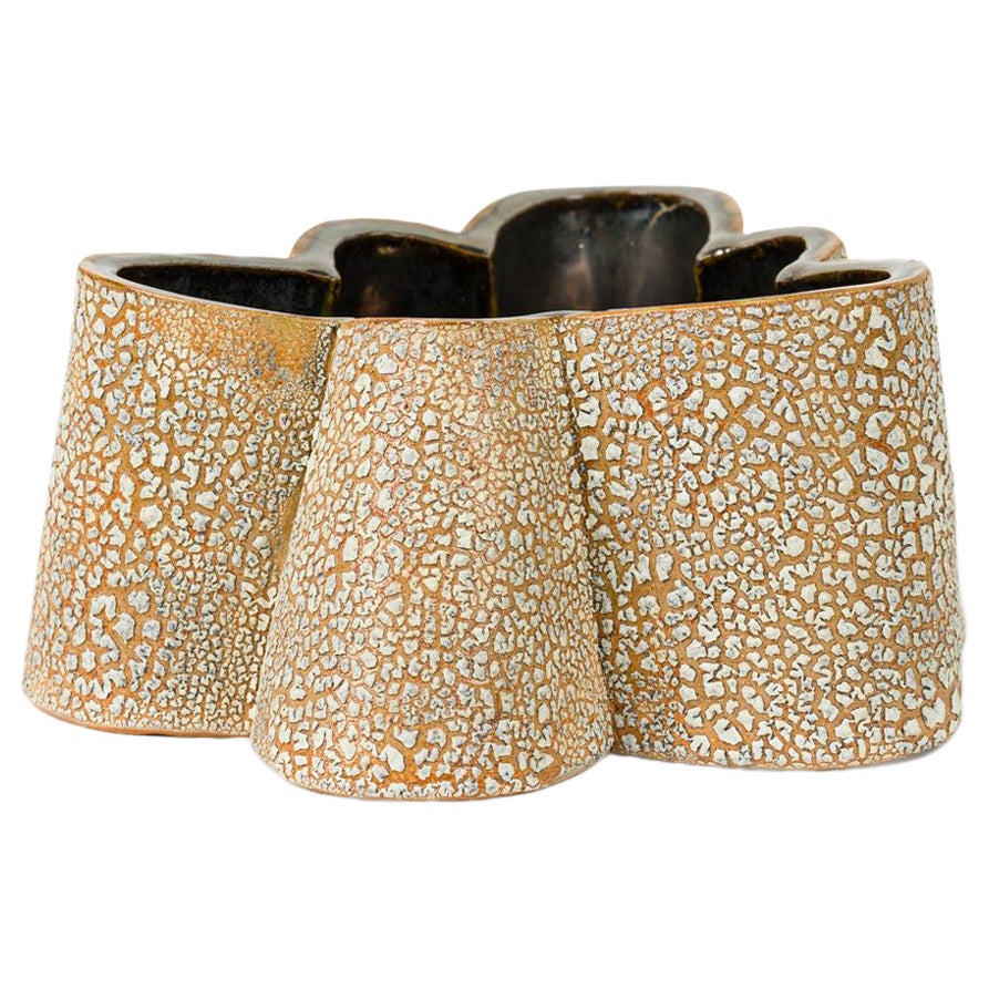 Gary DiPasquale Asymmetrical 6-Sided Lobed Vessel Textured White Bark Exterior