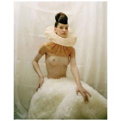 '" the Collerette", Photograph by Diana Lui, 2000 8