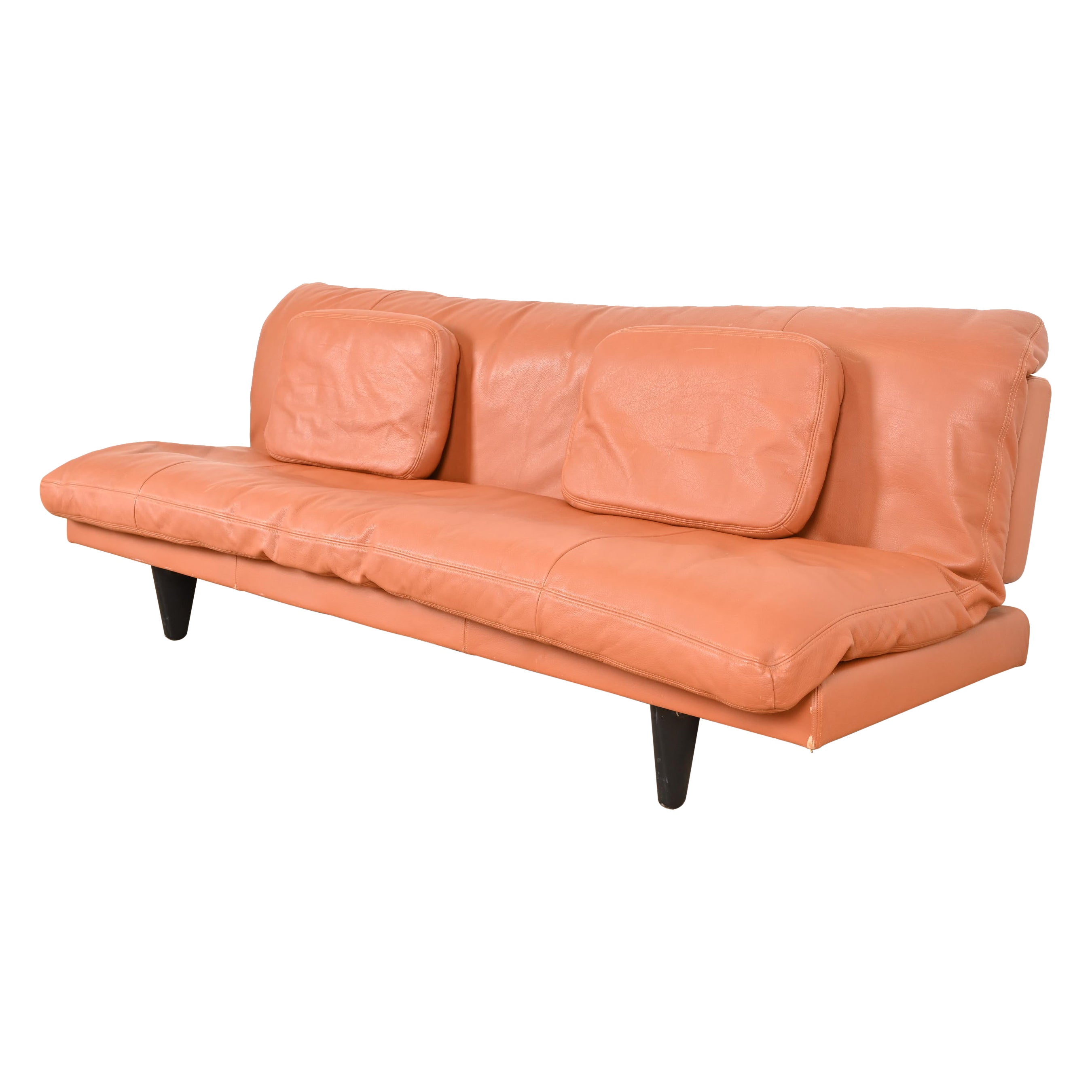 De Sede Ds 169 Skandinavisch Modernes Schlafsofa von Ernst Ambühler