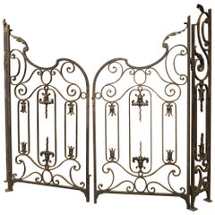 Pair of Circa 1800 French Wrought Iron and Tole Gates