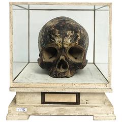 Important and Rare Italian Memento Mori Plaster Sculpture