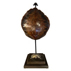 Grande lampe de bureau en laiton et écaille de tortue