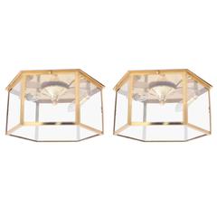 Pair of Brass and Glass Flush Mounts or Light Fixture from a German Library 1
