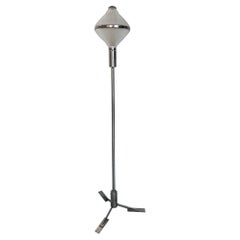 Rare Vintage Collectible Italian Polimnia Floor Lamp by Studio BBPR for Artemide
