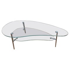 Modern Two-Tier Kidney Shape Glass and Metal Coffee Table