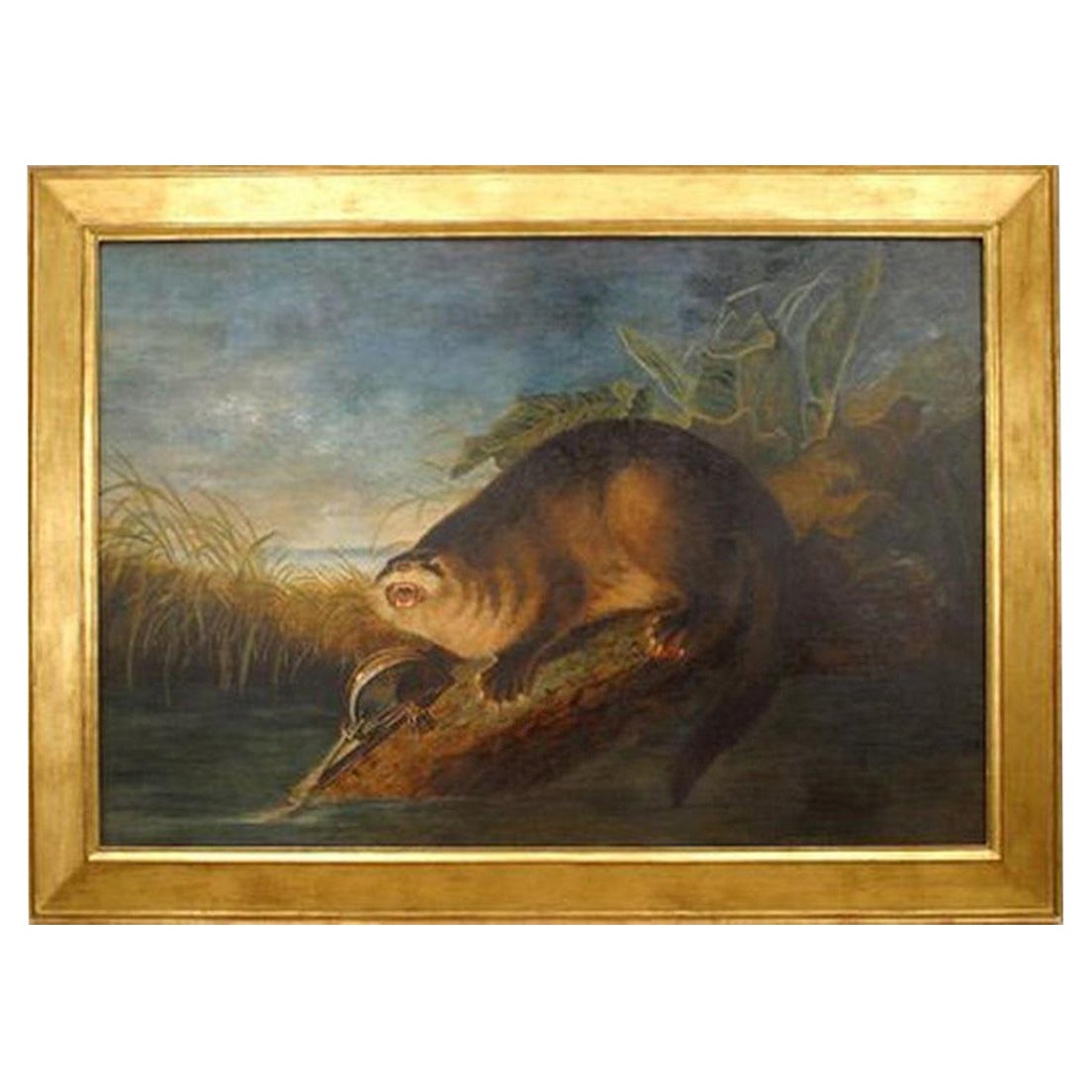 Copia de una pintura de fauna silvestre Nutria en una trampa