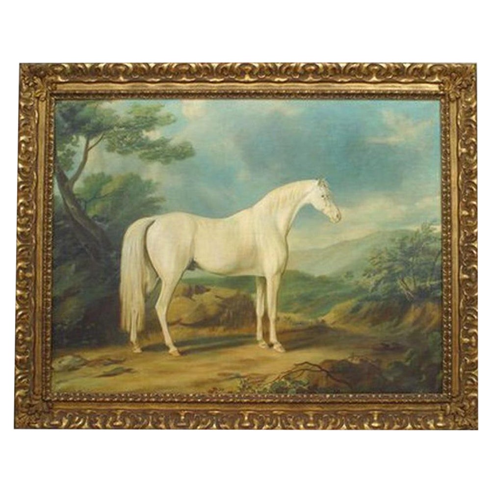 White Horse Animal Portrait