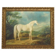 White Horse Animal Portrait