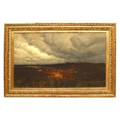 Paesaggio vittoriano americano di un campo paludoso