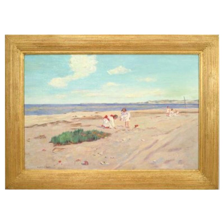 Paesaggio "Spiaggia delle conchiglie