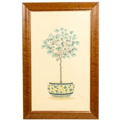 English Victorian Fruit Tree Painting