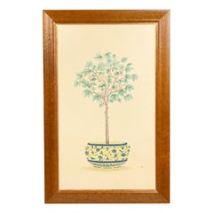 Quadro inglese vittoriano con albero da frutta