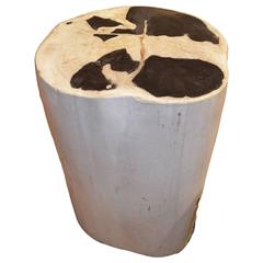 Andrianna Shamaris Petrified Wood Side Table Antique Andrianna Shamaris Petrified Wood Side Table