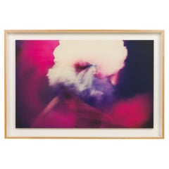 Steven Sebring American Contemporary " Metamorphosis" (2012)