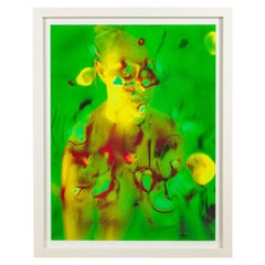 Fotografía estadounidense enmarcada de Steven Sebring, titulada; "Serie Polaroid: Verde".