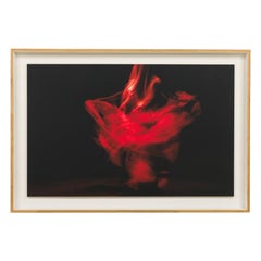 Steven Sebring Fotografía Abstracta, Titulada; "Revelación" Enmarcada Cromogénica Pr