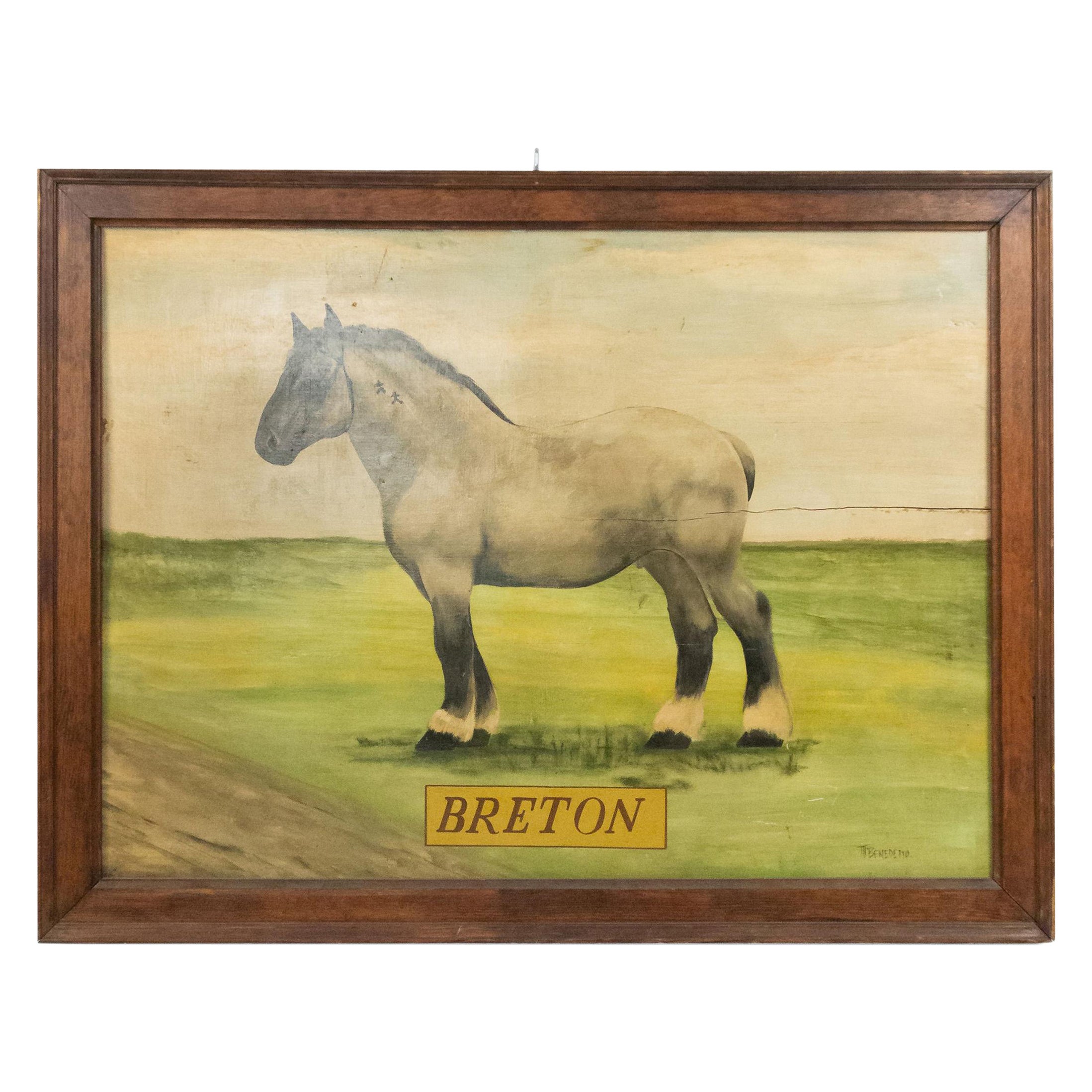 Peinture bretonne sur cheval de campagne américain