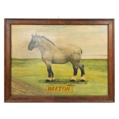Peinture bretonne sur cheval de campagne américain