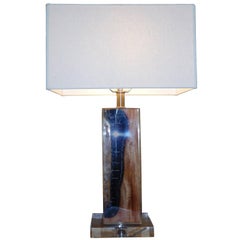 Una excepcional lámpara de mesa de madera petrificada en lucita