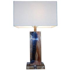 Pair of Petrified Wood in Lucite, Table Lamp 11