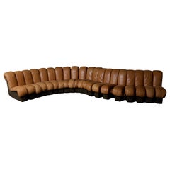 DS-600 Brown Leather Twenty Element Sofa by DeSede