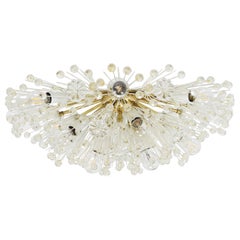 Emil Stejnar Large Oval Brass Sputnik Flush Mount Ceiling Light by Rupert Nikoll
