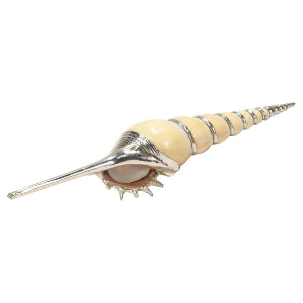 High-Spire Seashell with Sterling Silver Overlay For Sale at 1stDibs