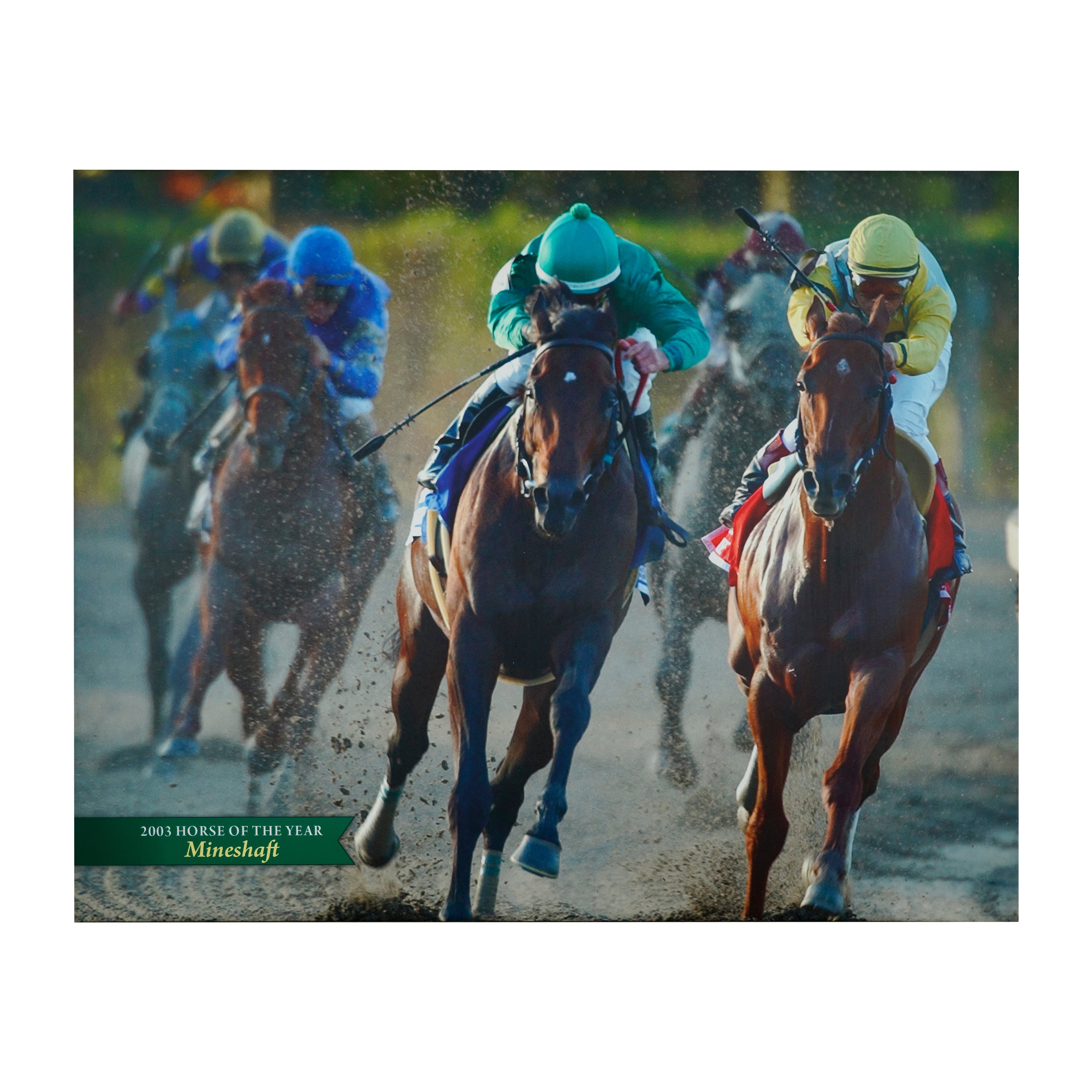 Belmont Park 2003 Pferd des Jahres Mineshaft Canvas Druck