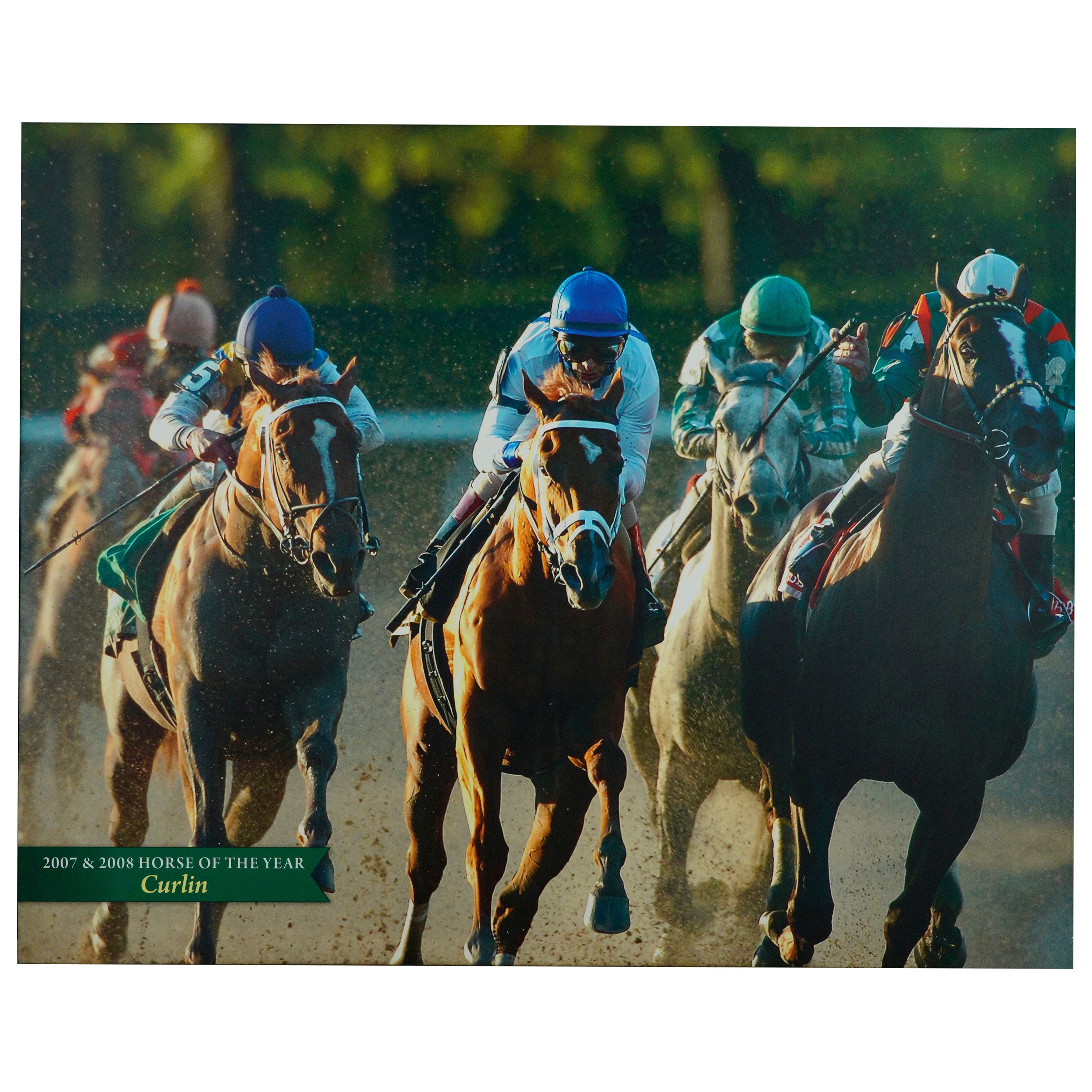 Belmont Park 2007 & 2008 Pferd des Jahres Curlin Canvas Druck