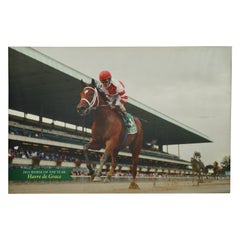 Belmont Park 2011 Horse of The Year Havre de Grace Vinyl Print