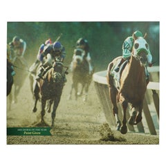 Belmont Park 2001 Horse of The Year Point Given Vinyl Print