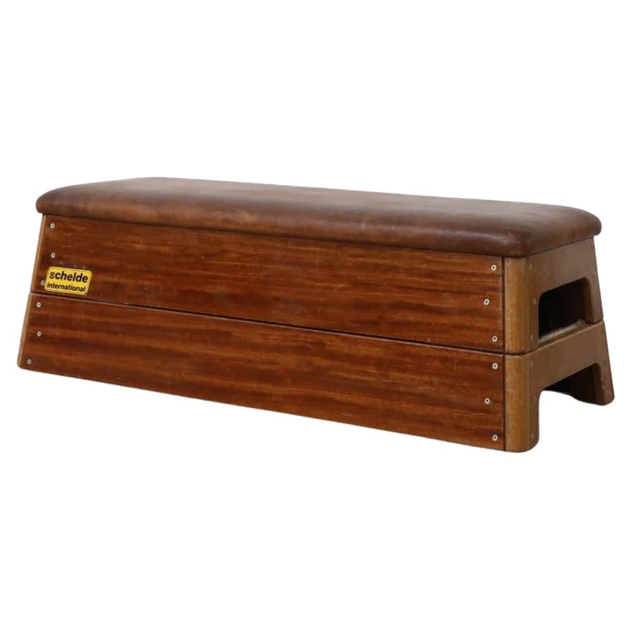 Mid-Century Dutch Stacked Oak and Teak Gymnastics Bench with Leather Top