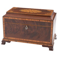 Georgian Antique Tea Caddy with Shell Inlay c1810