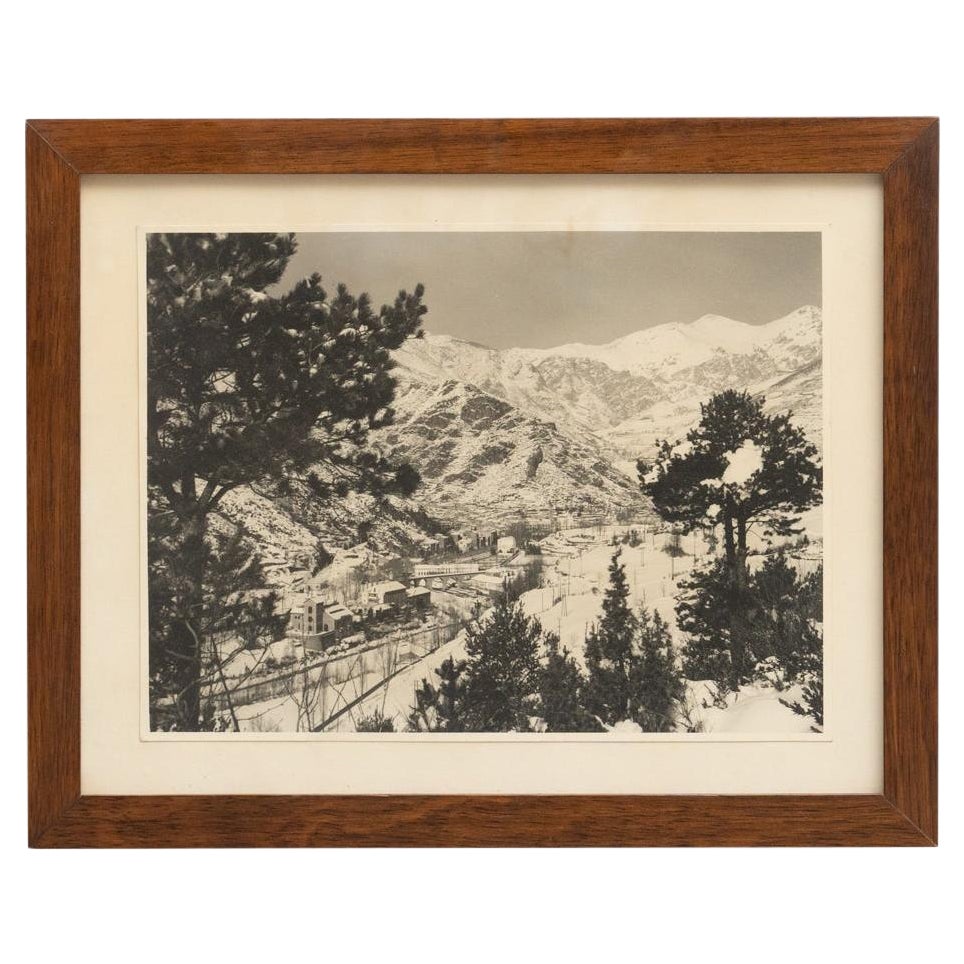 Fotografia con cornice non firmata, 1960 circa