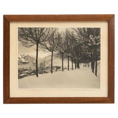 Unsigned Framed Photography, circa 1960