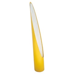 Mid Century Floor Mirror, Model Unghia Designed by Rodolfo Bonetto, Italy 70s