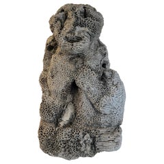 Natural brain coral in the form of a sitting monkey