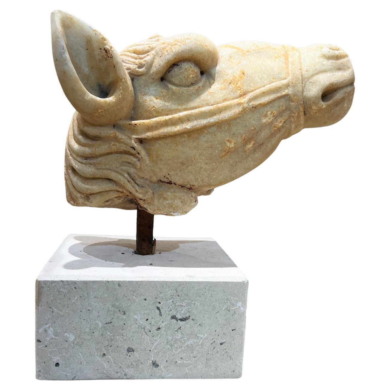 19th Century Italian Carrara Marble Horse Head - Antique Décor Sculpture