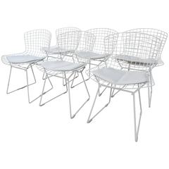 Harry Bertoia Six Dining Chairs for Knoll