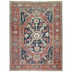 Antique Persian Serapi Rug 1