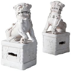 Pair of Blanc De Chine Porcelain Dogs of Fu