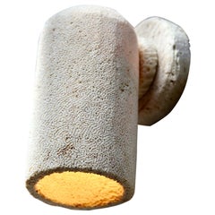 Fossil Coral Dome Wall Sconce by Marovo Island Traders