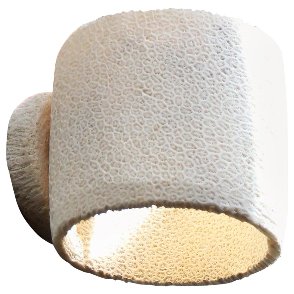 Large Fossil Coral Tube Wall Sconce by Marovo Island Traders