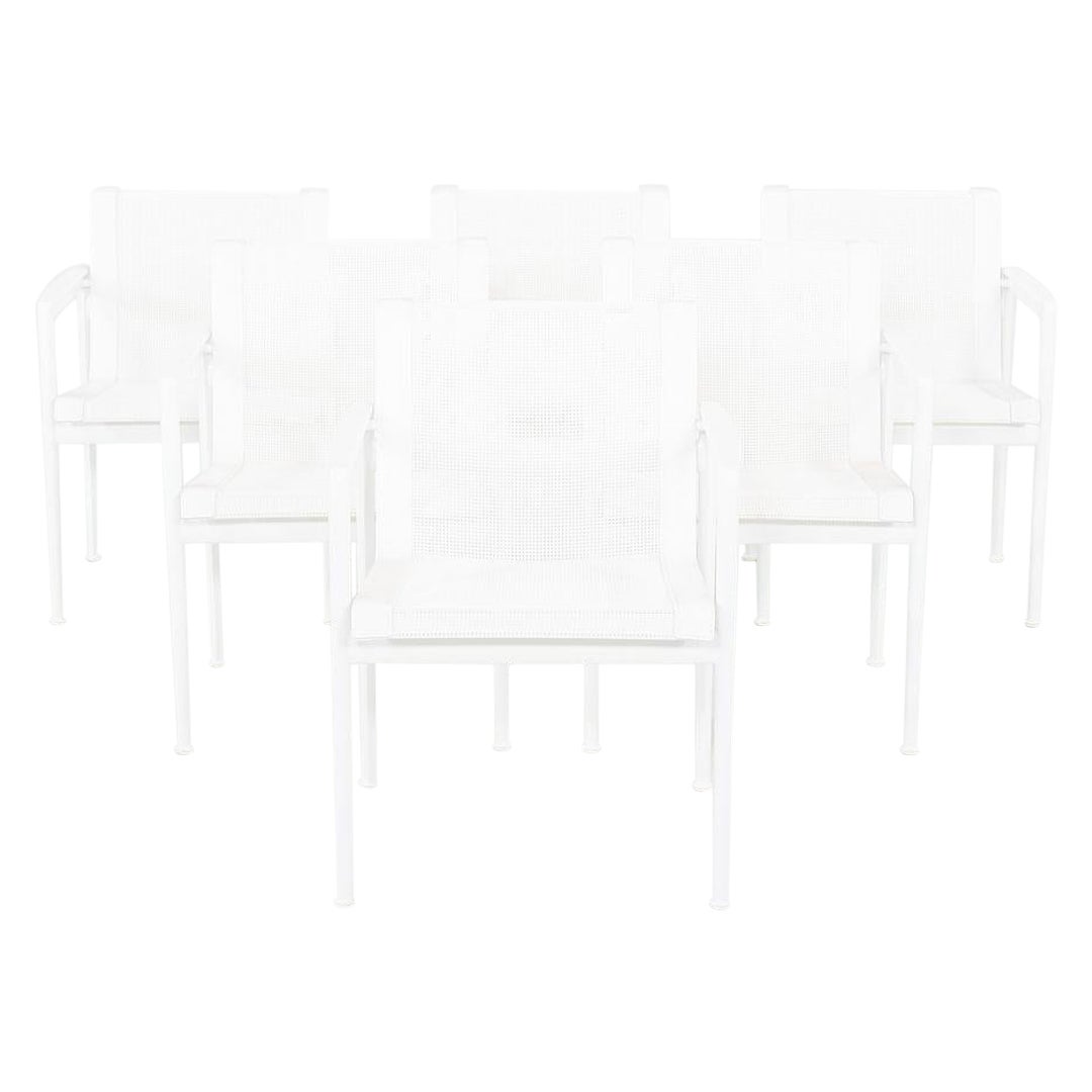 2022 Set of Six Richard Schultz for Knoll 1966 Collection Dining Arm Chairs