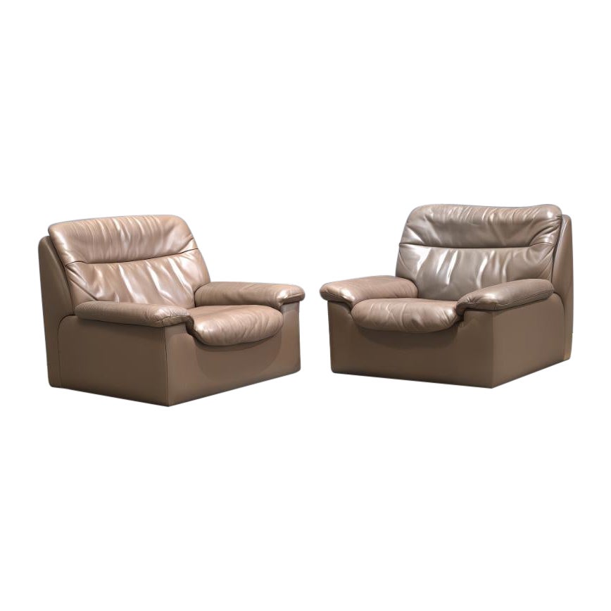 De Sede DS-66 Armchair