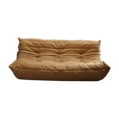 Ligne Roset par Michel Ducaroy Alcantara Camel Three Seater Togo