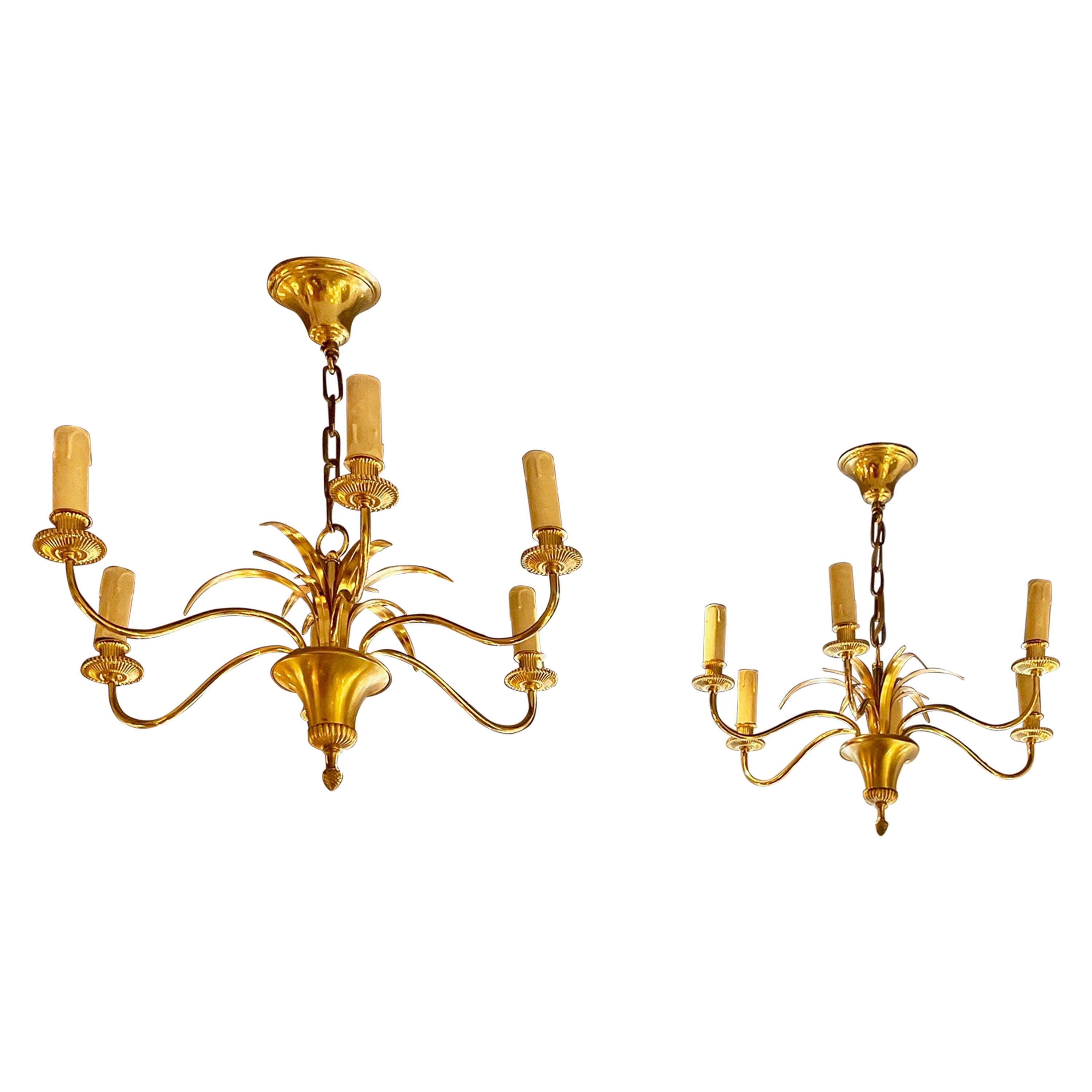 Pair of Six Light Neoclassical Brass Chandelier by Maison Charles, France 1960.