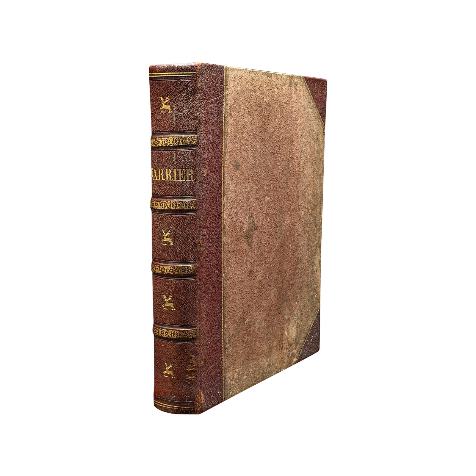 Antique Equestrian Reference Book, Modern Practical Farriery, English, Victorian