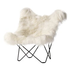 Iceland Mariposa Lounge Chair di Cuero Design
