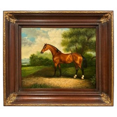 Eye Catching Equestrian Portrait of Glistening Thoroughbred Horse
